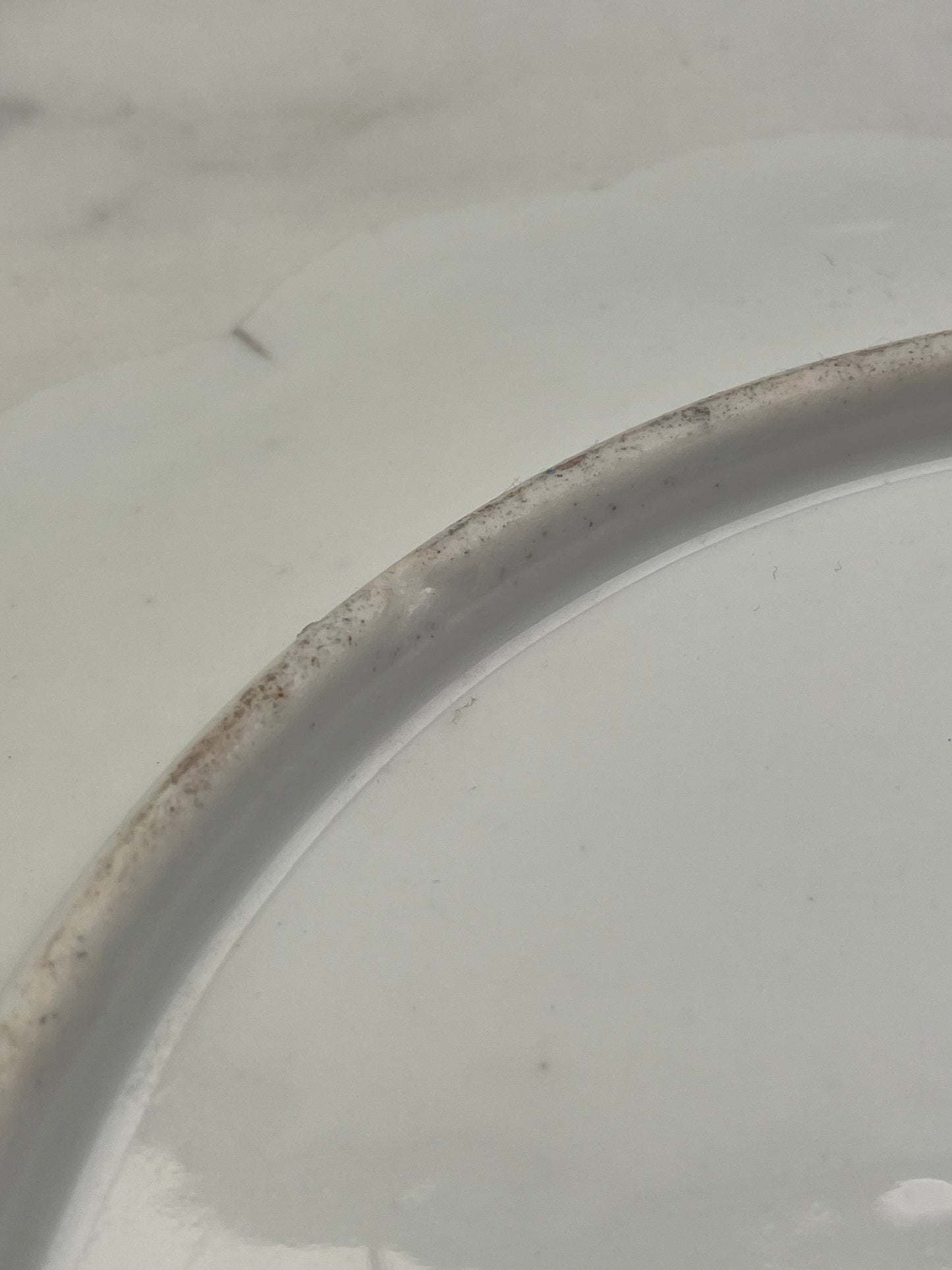 Assiette en Porcelaine à Décor de Dame aux Fleurs – 19e/20e siècle