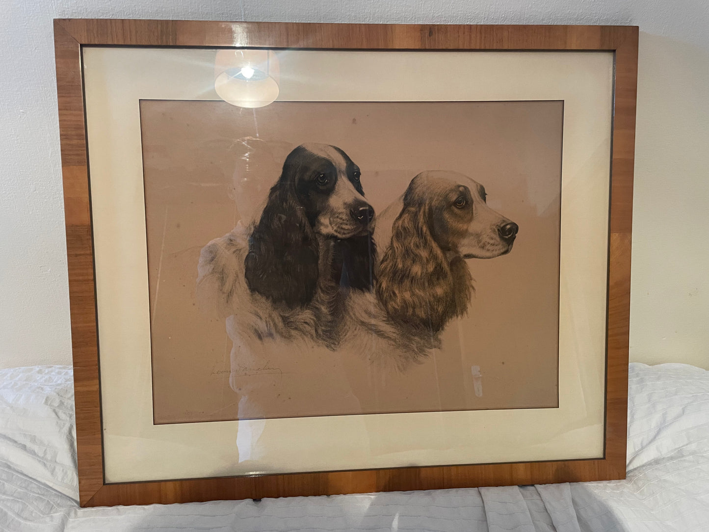 Lithographie de Léon Danchin – Deux chiens Setters – Édition numérotée 353/500 – Avec cadre
