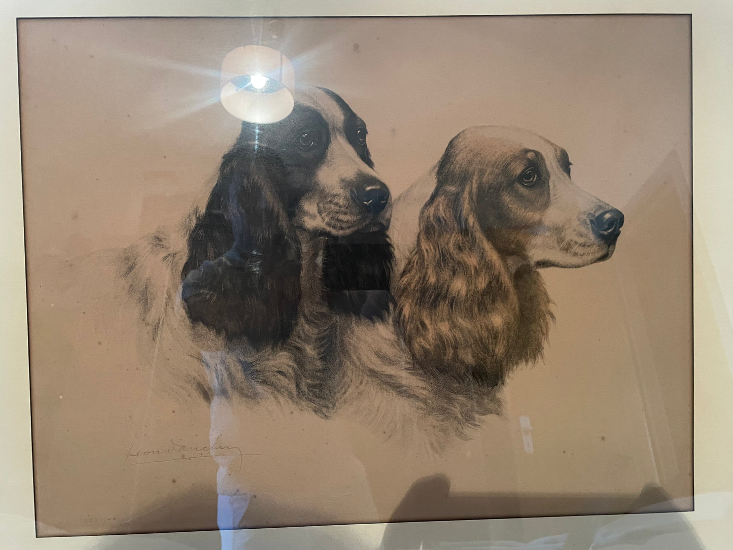 Lithographie de Léon Danchin – Deux chiens Setters – Édition numérotée 353/500 – Avec cadre