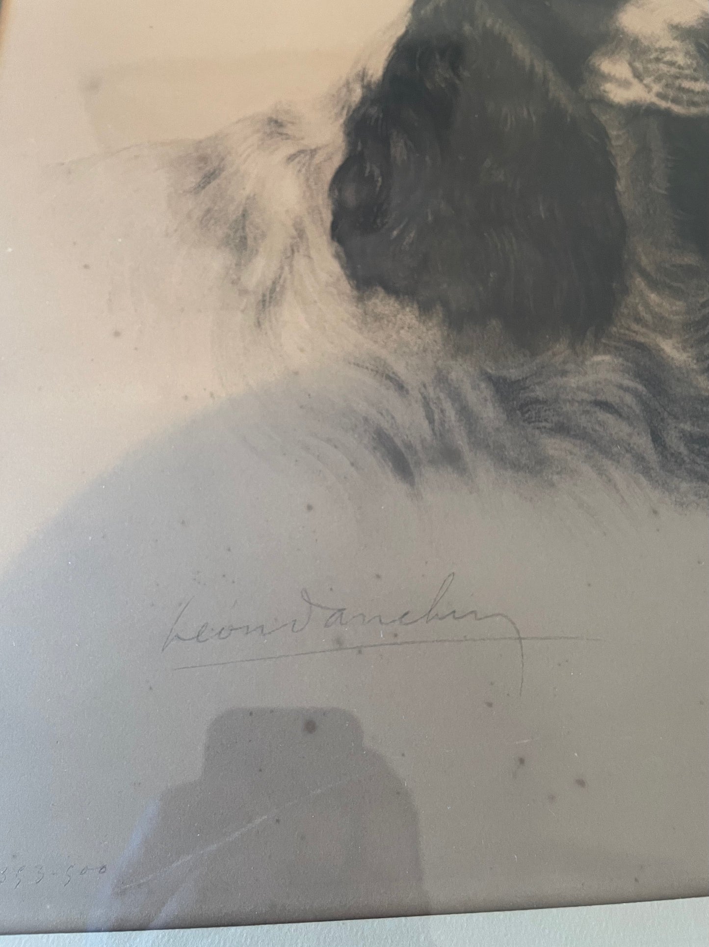 Lithographie de Léon Danchin – Deux chiens Setters – Édition numérotée 353/500 – Avec cadre